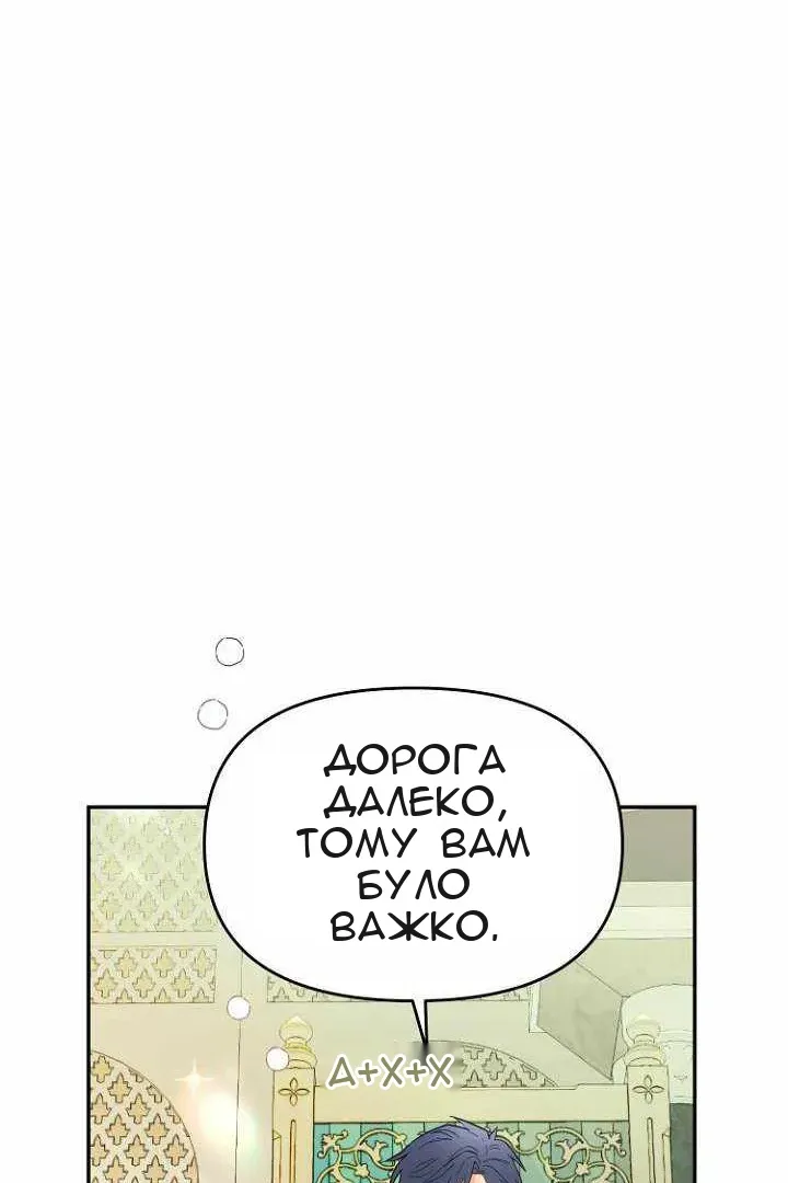 Сторінка 41