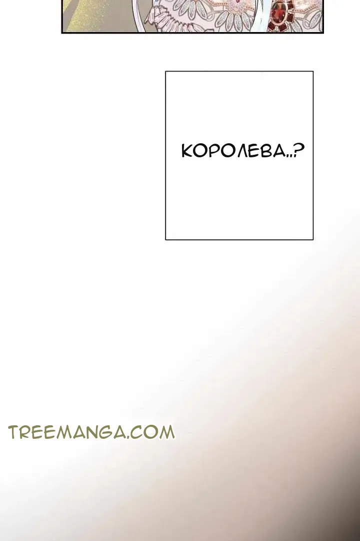 Сторінка 49