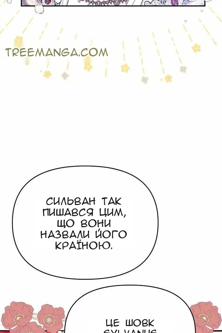 Сторінка 41