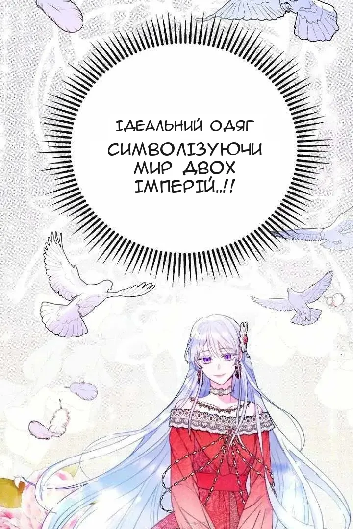 Сторінка 47