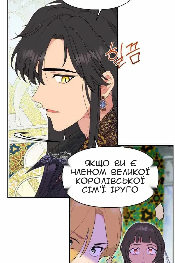 Сторінка 28