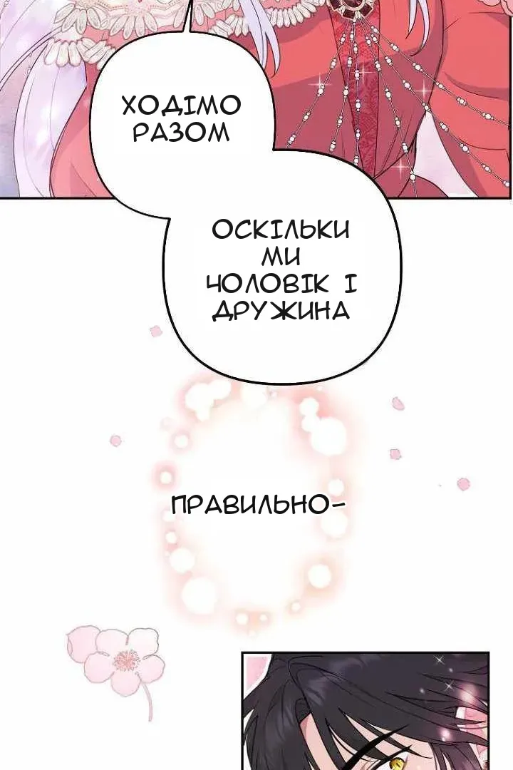 Сторінка 41