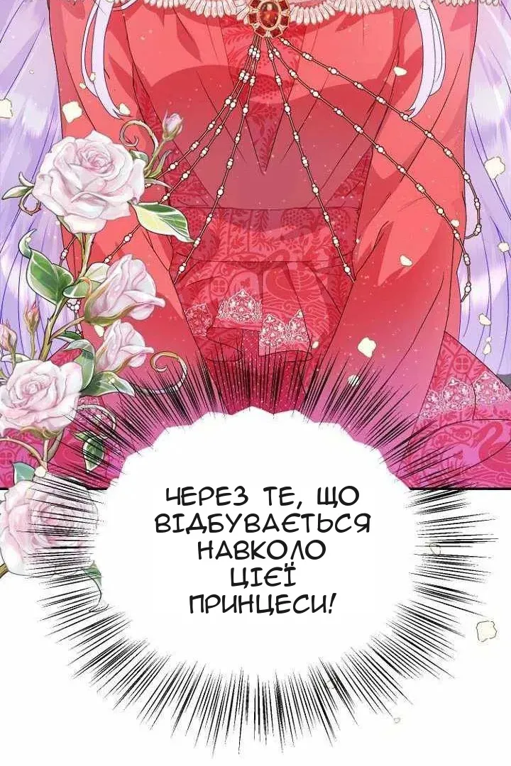 Сторінка 104