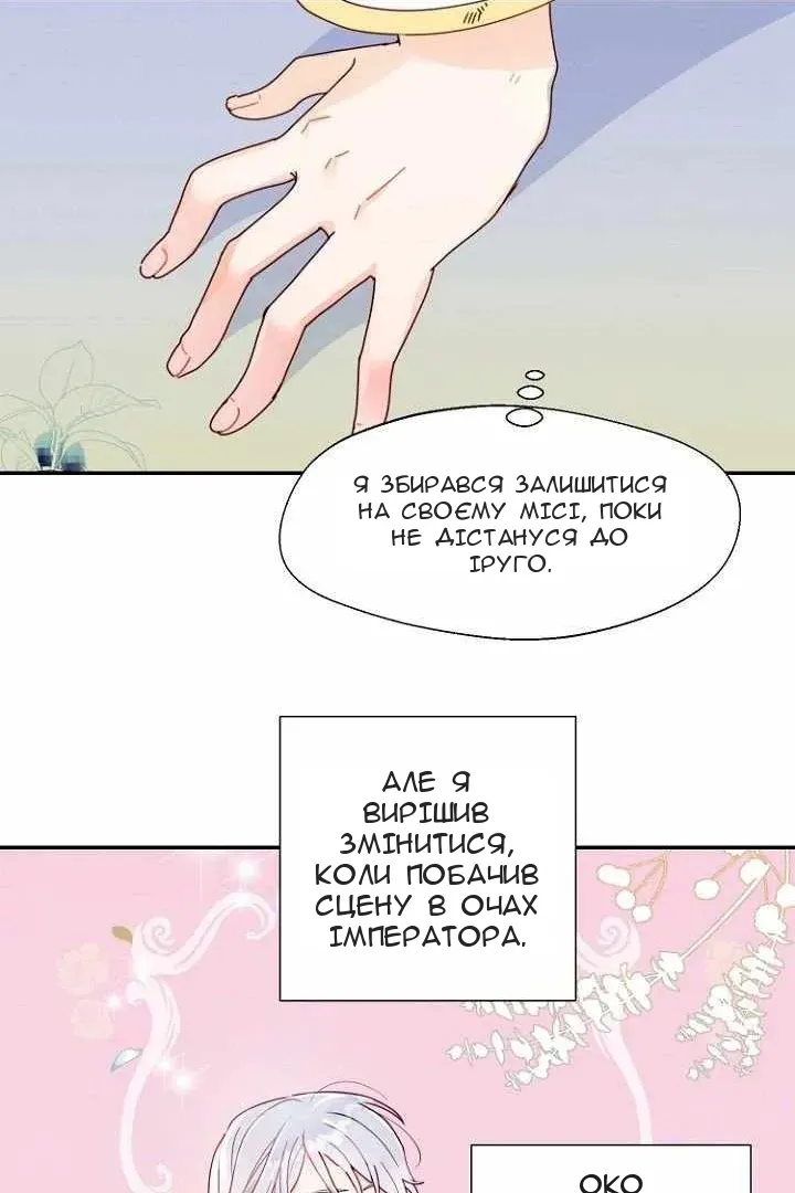 Сторінка 28