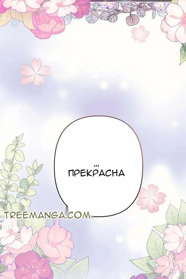 Сторінка 27