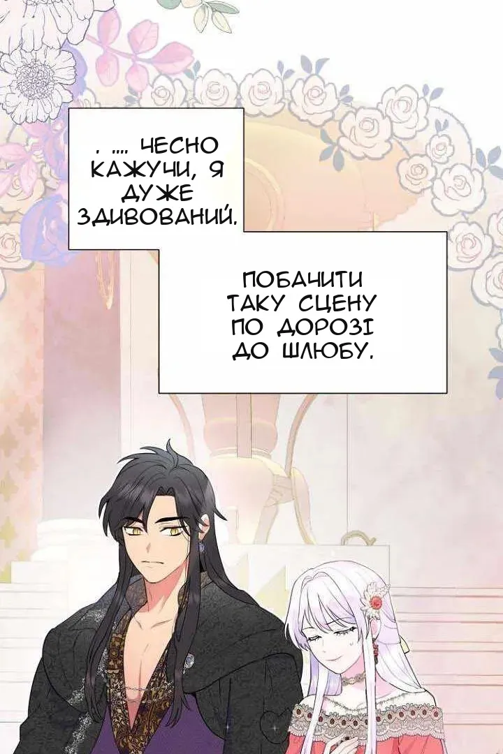 Сторінка 36