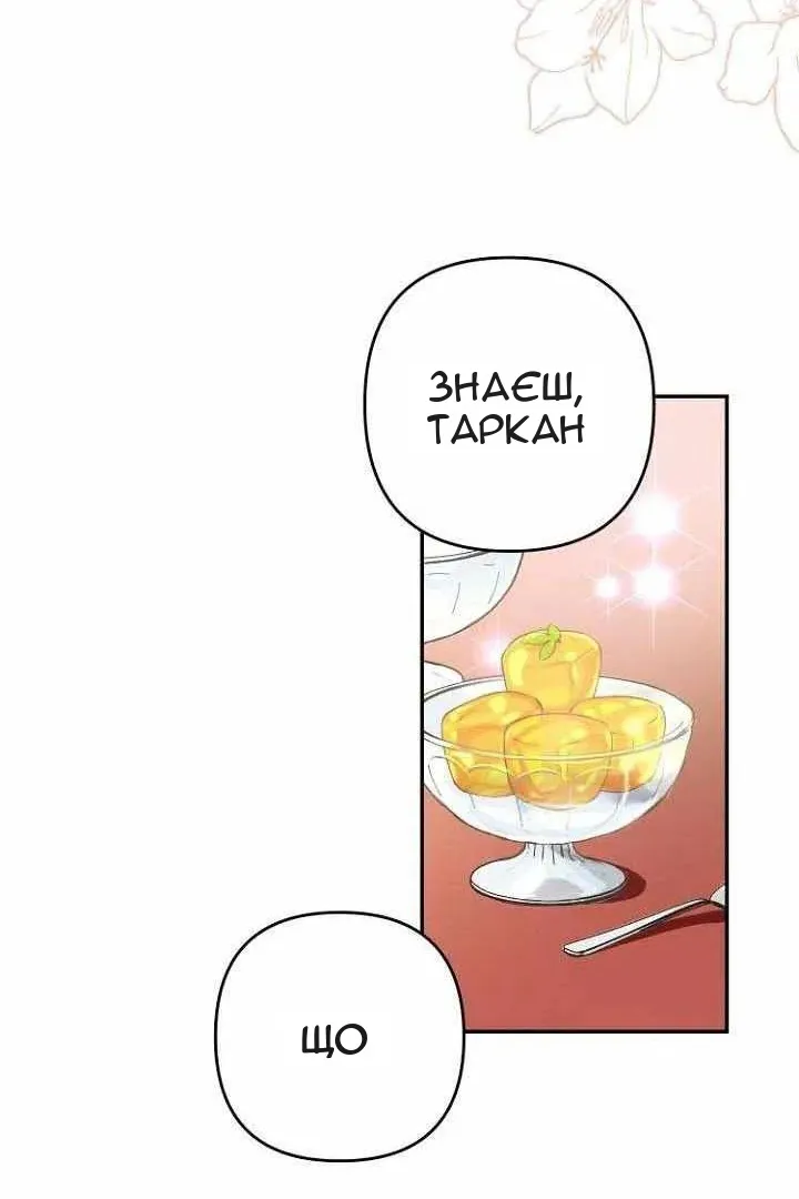 Сторінка 77