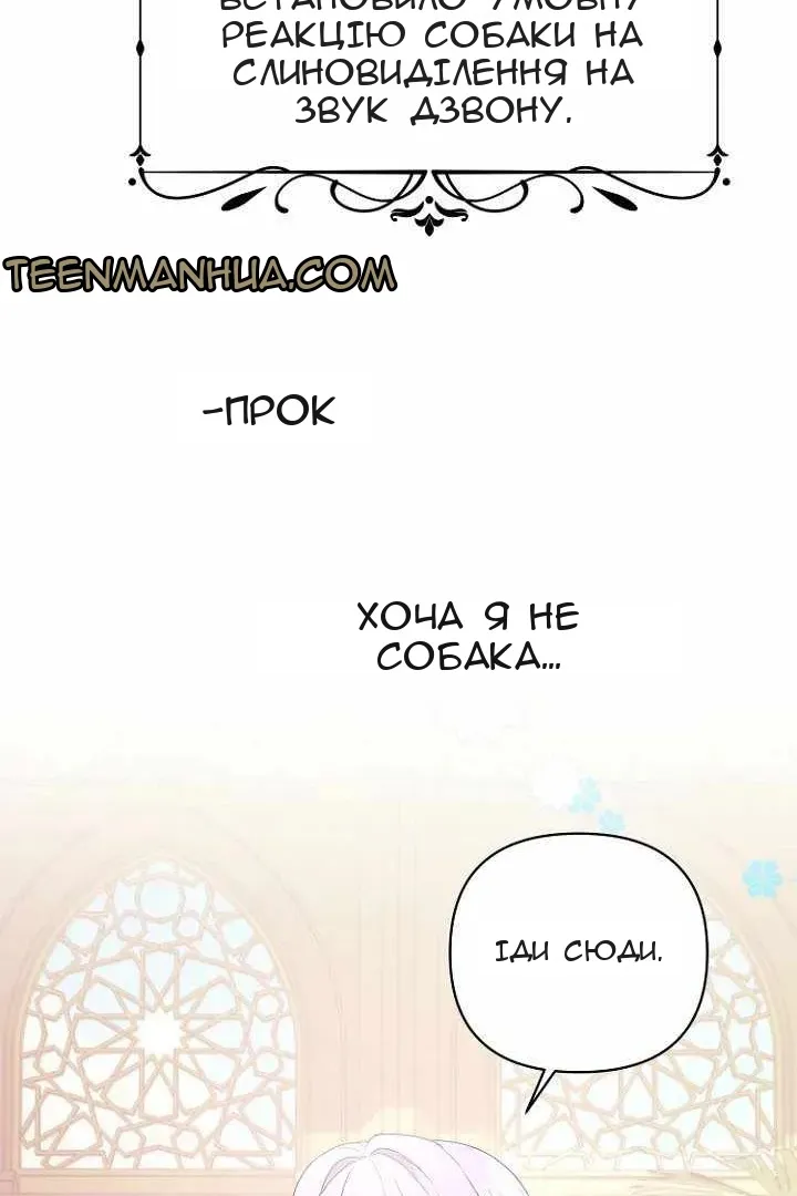 Сторінка 6
