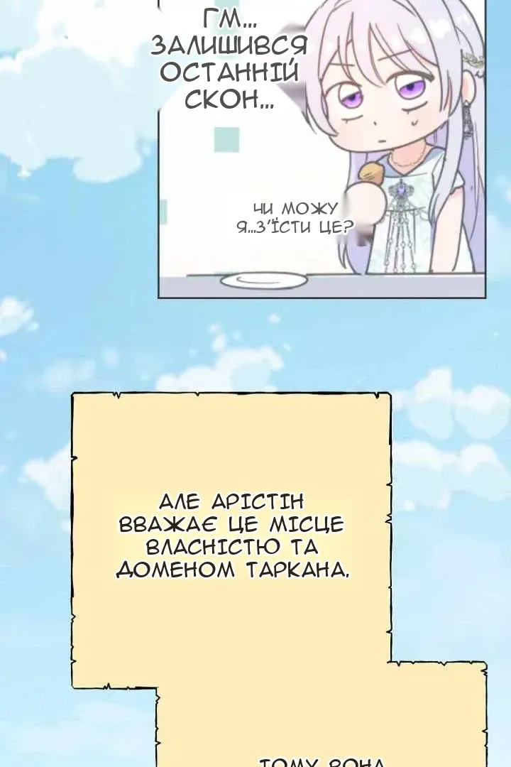 Сторінка 11