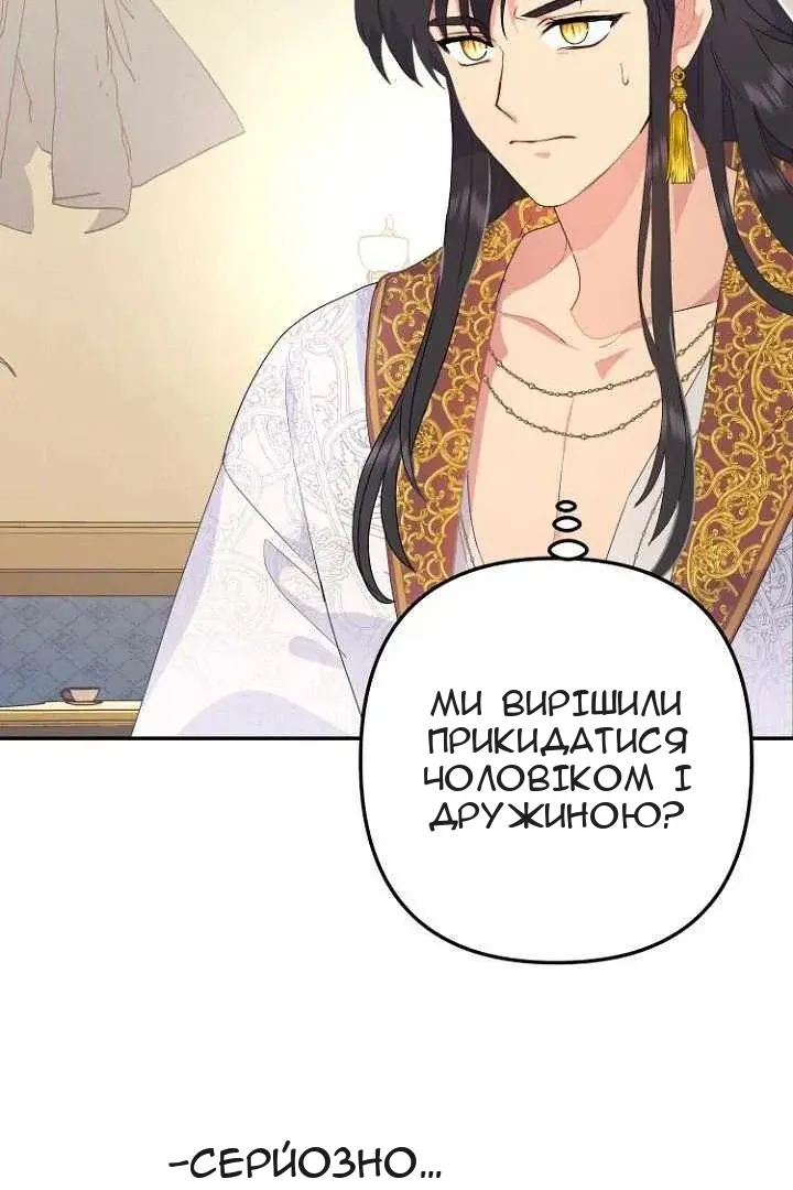 Сторінка 17