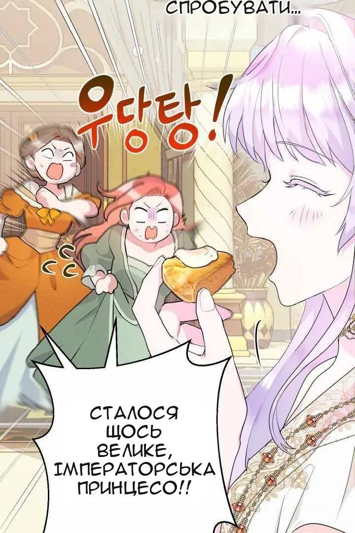 Сторінка 42