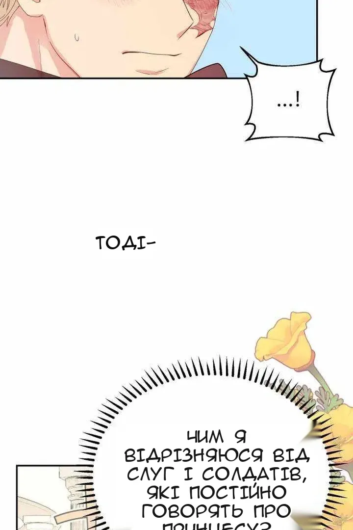 Сторінка 7