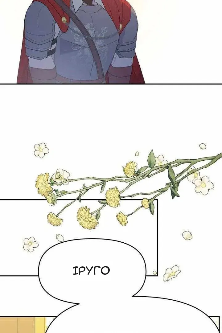 Сторінка 71