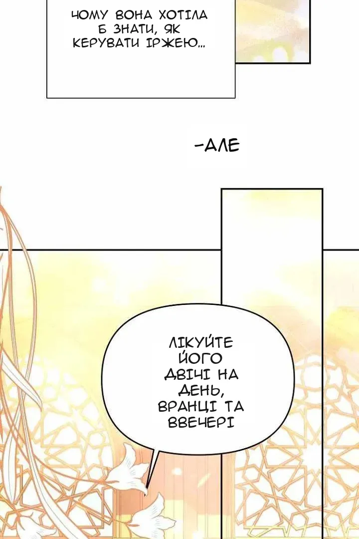 Сторінка 46