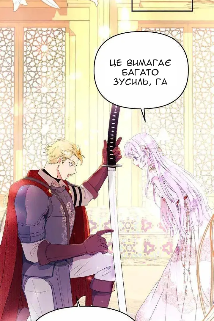 Сторінка 47