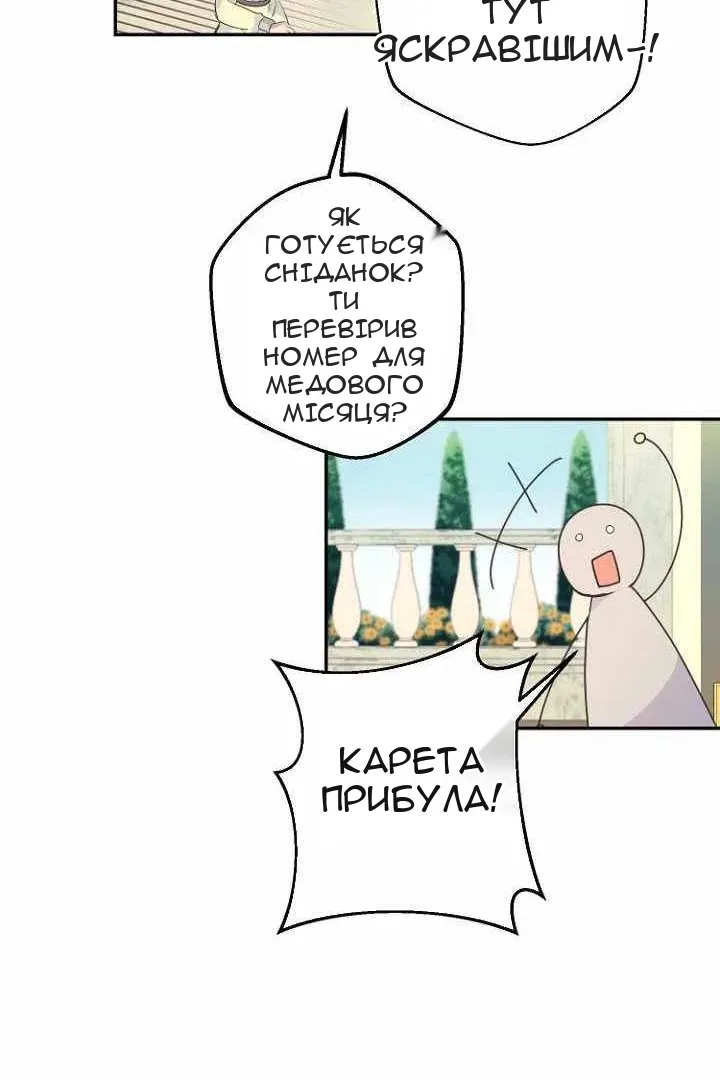 Сторінка 5