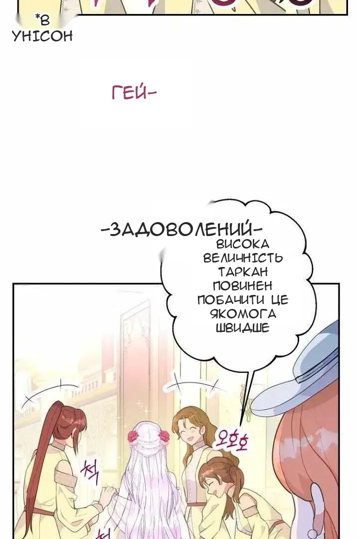Сторінка 17
