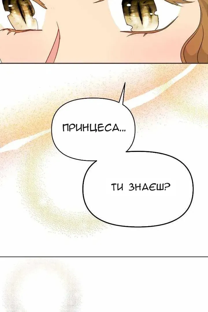Сторінка 41