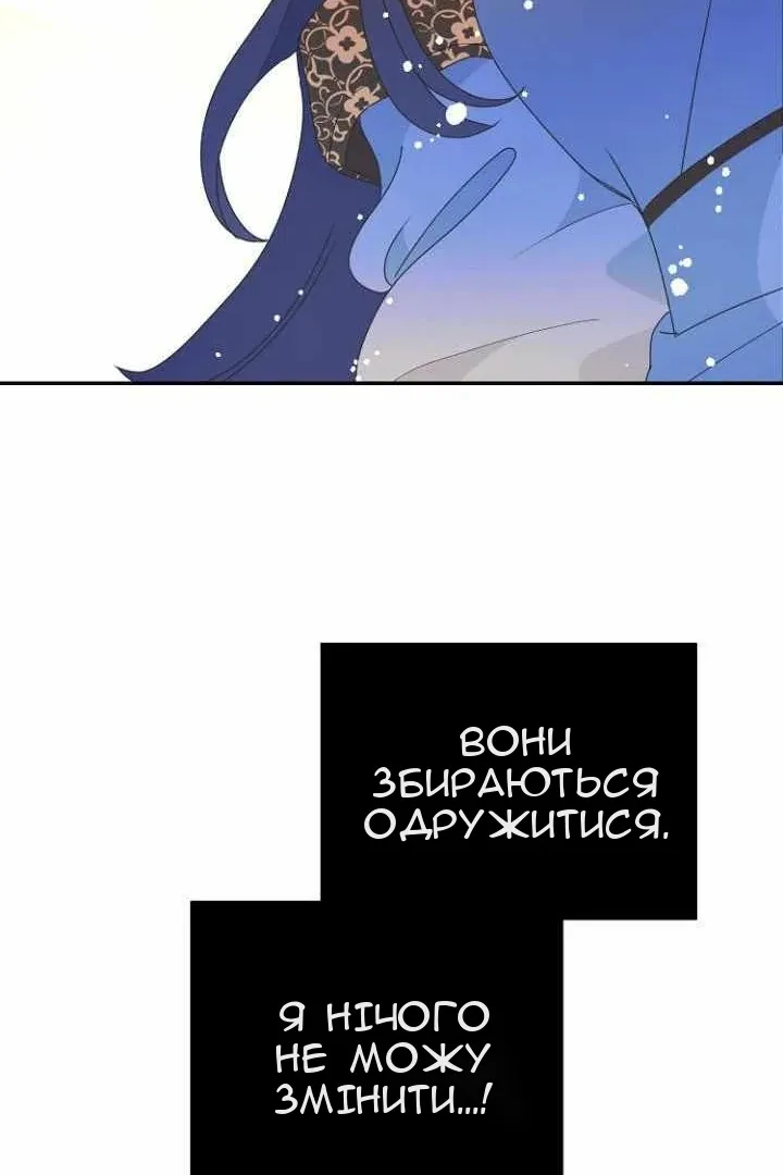 Сторінка 43