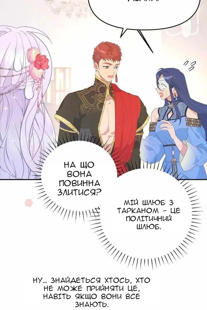 Сторінка 5