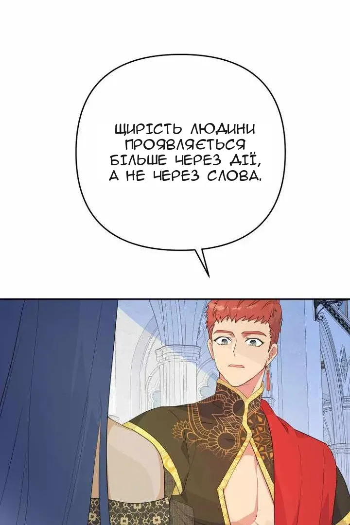 Сторінка 41