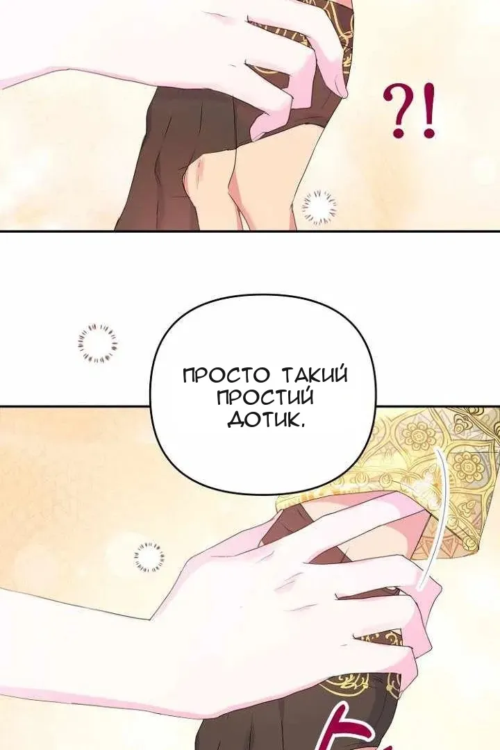 Сторінка 36