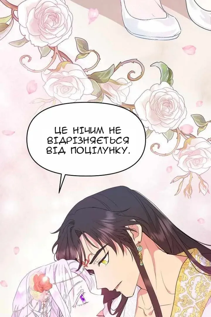 Сторінка 39