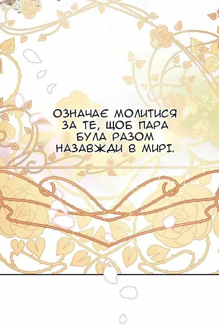 Сторінка 112