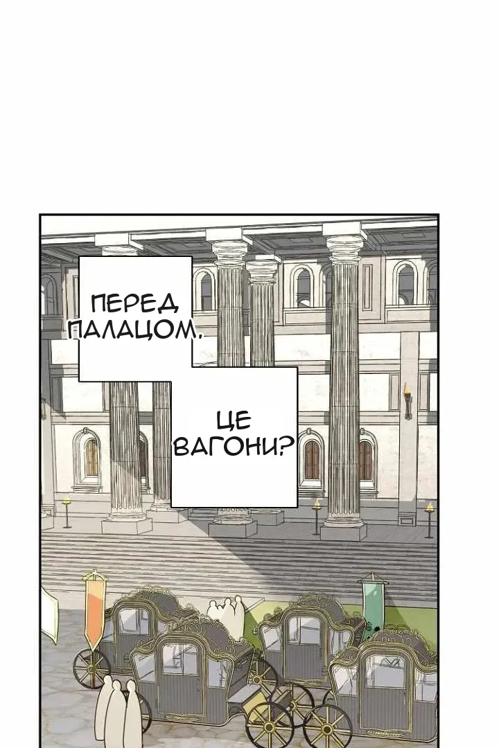 Сторінка 58