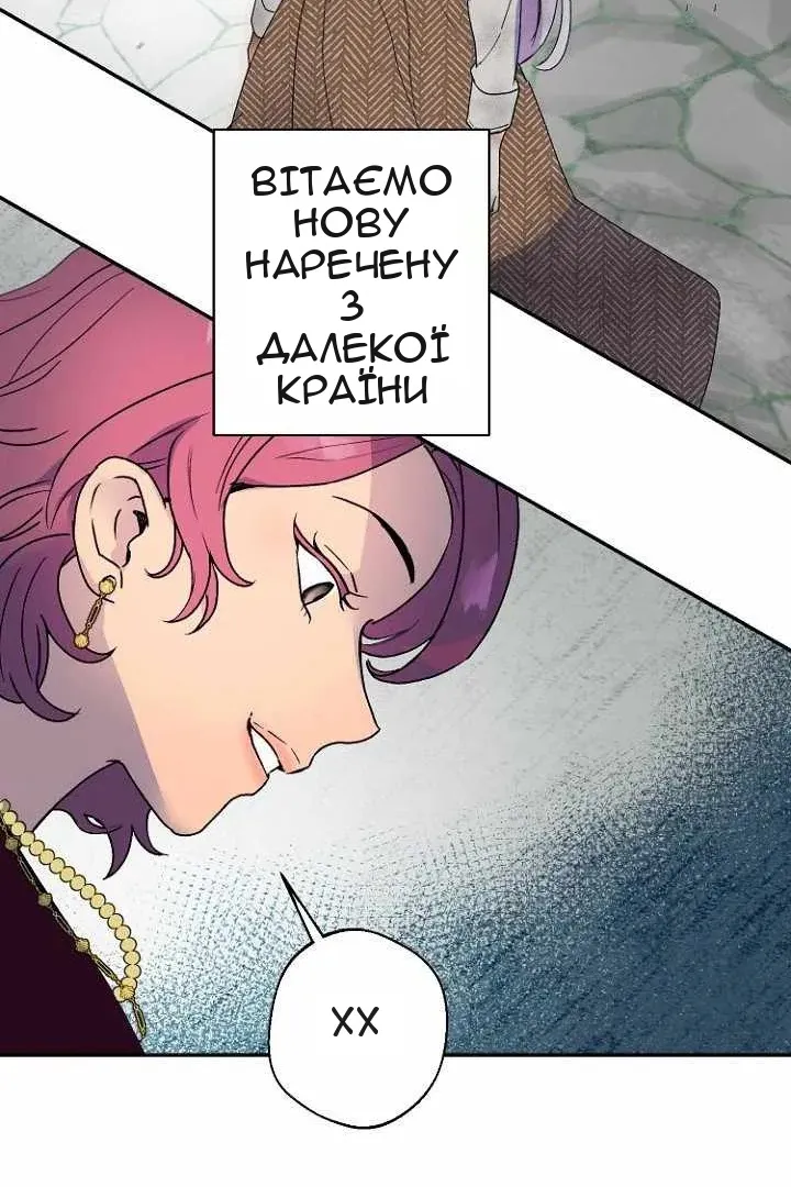 Сторінка 71