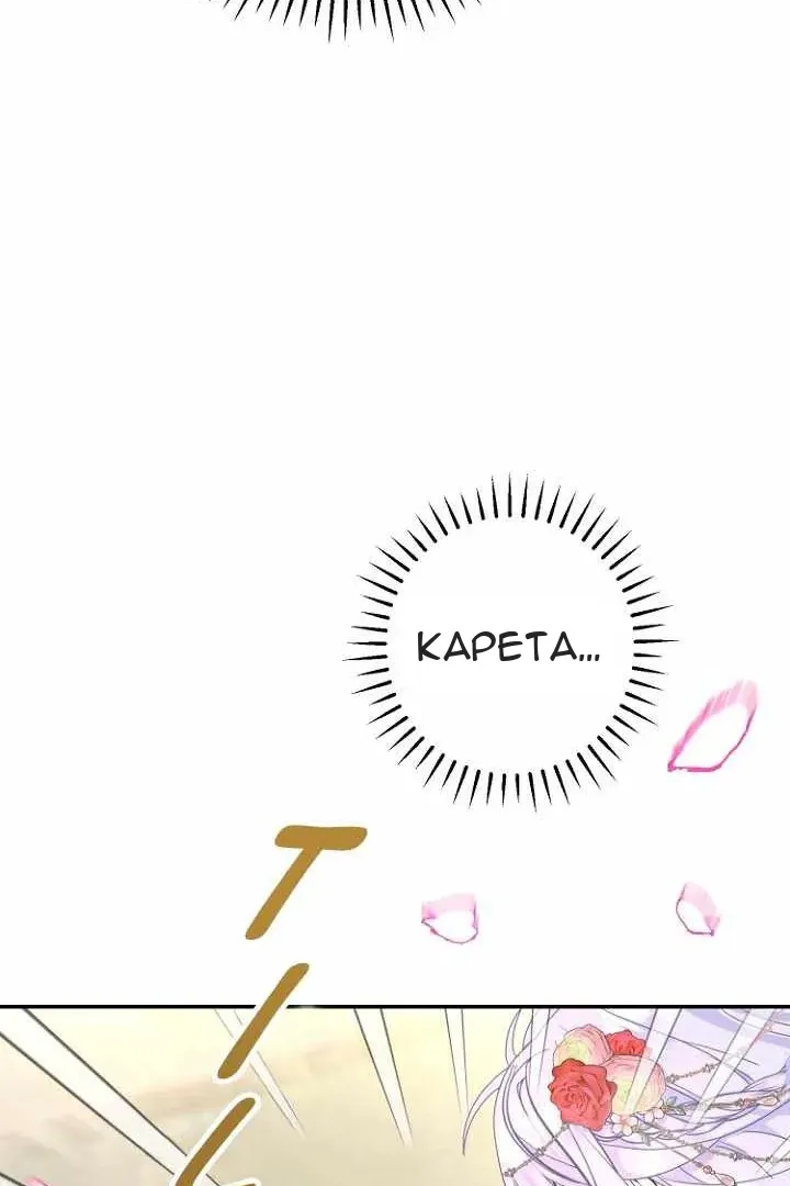 Сторінка 5