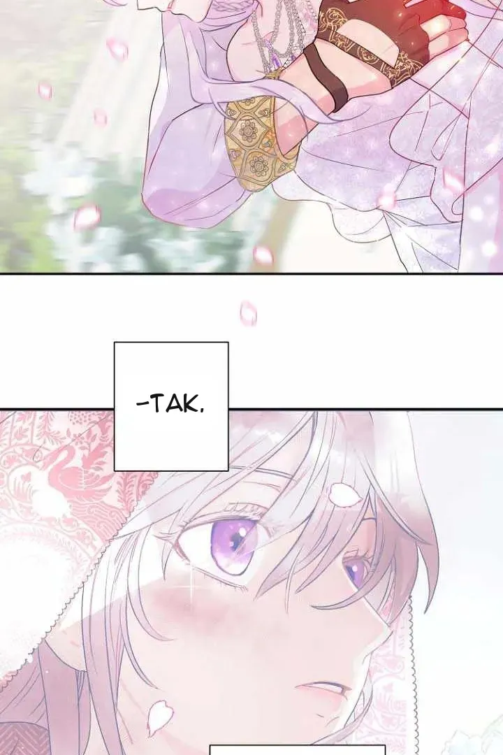 Сторінка 17