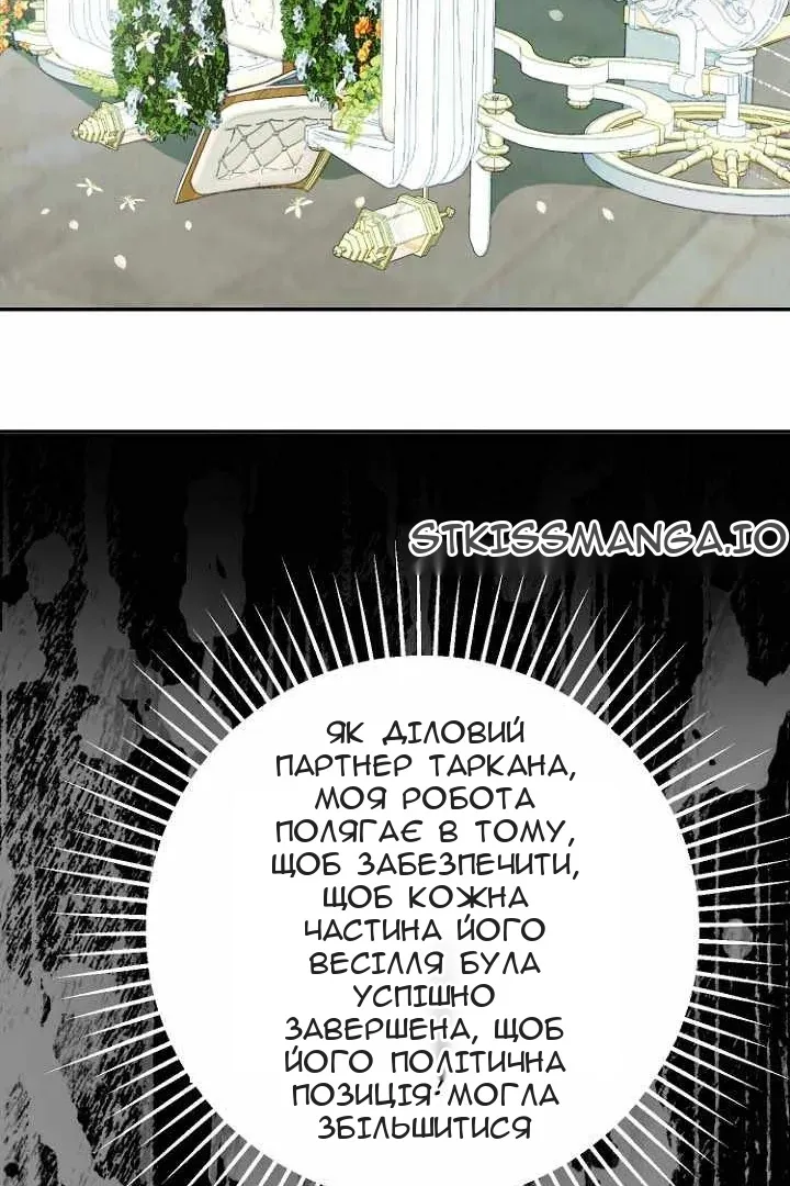 Сторінка 40