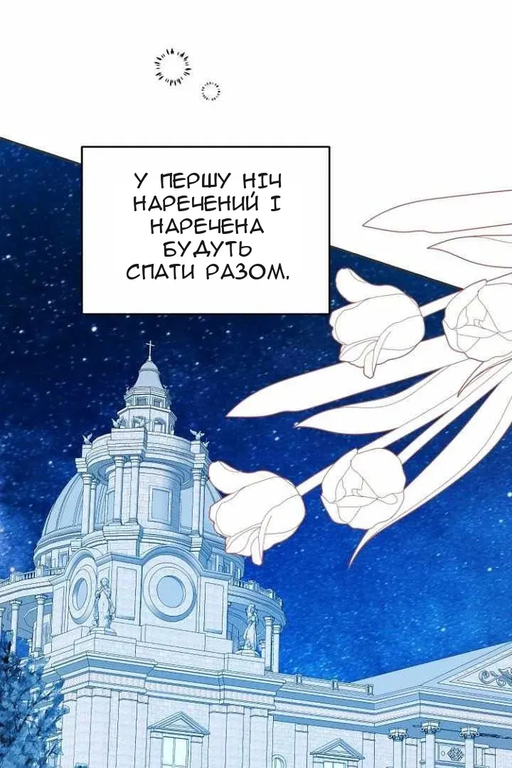 Сторінка 38
