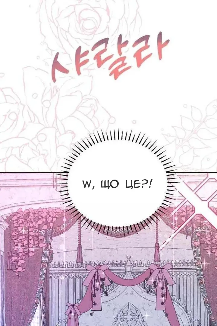 Сторінка 6