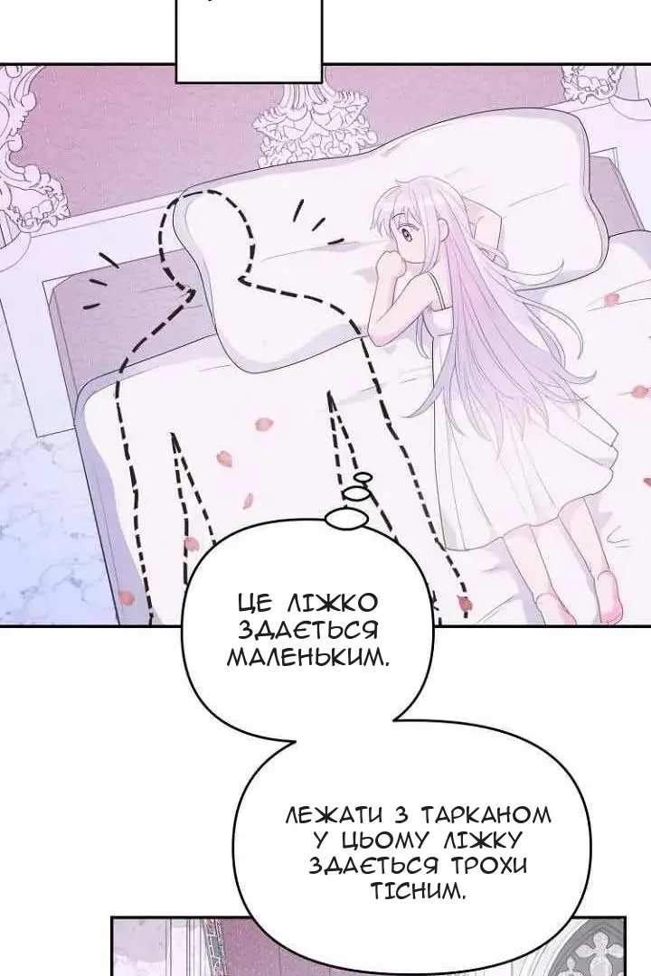 Сторінка 25