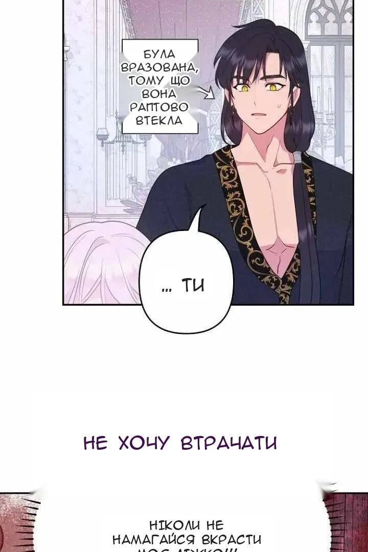 Сторінка 26