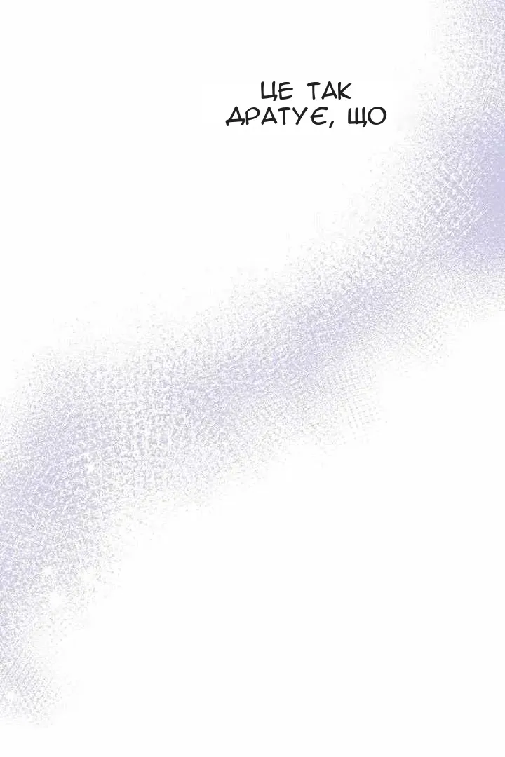 Сторінка 17