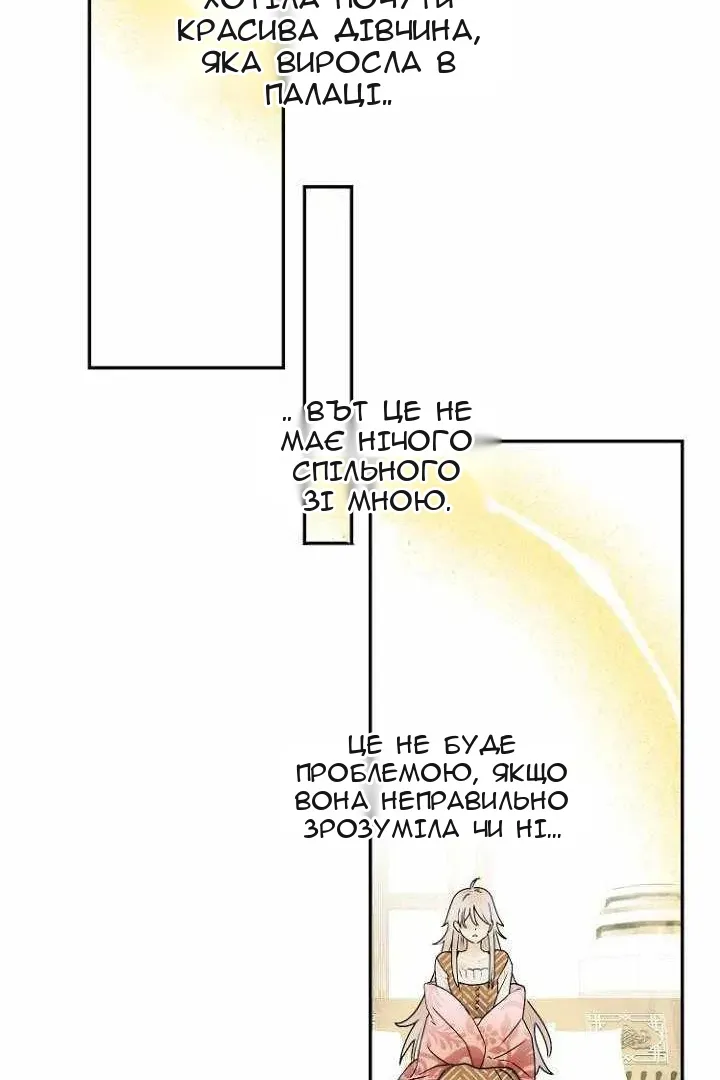 Сторінка 29