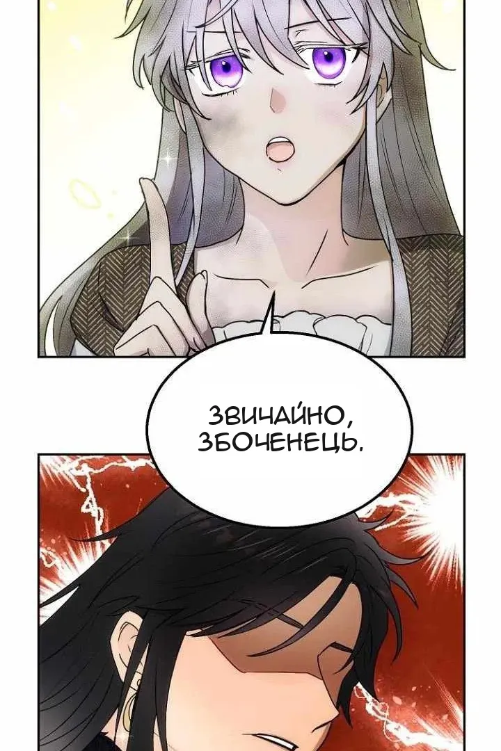Сторінка 31