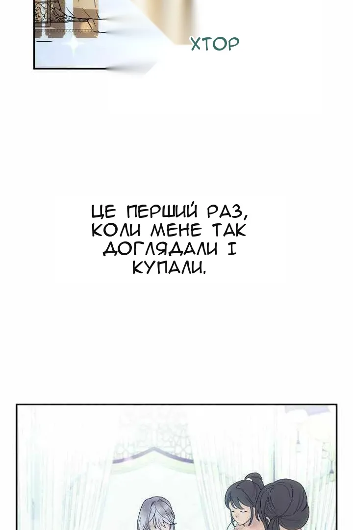 Сторінка 57