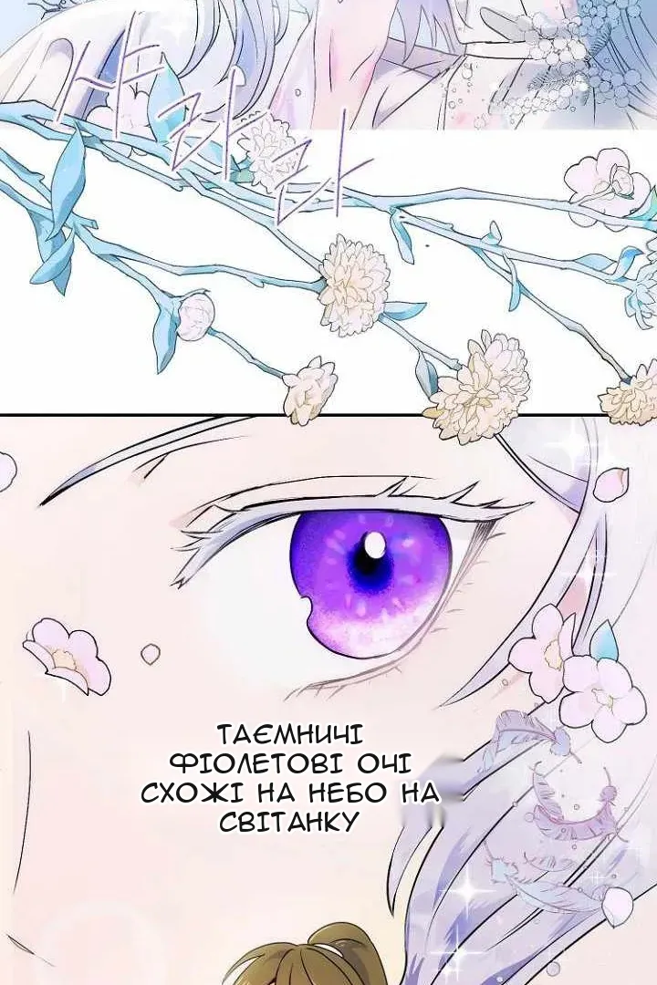 Сторінка 67