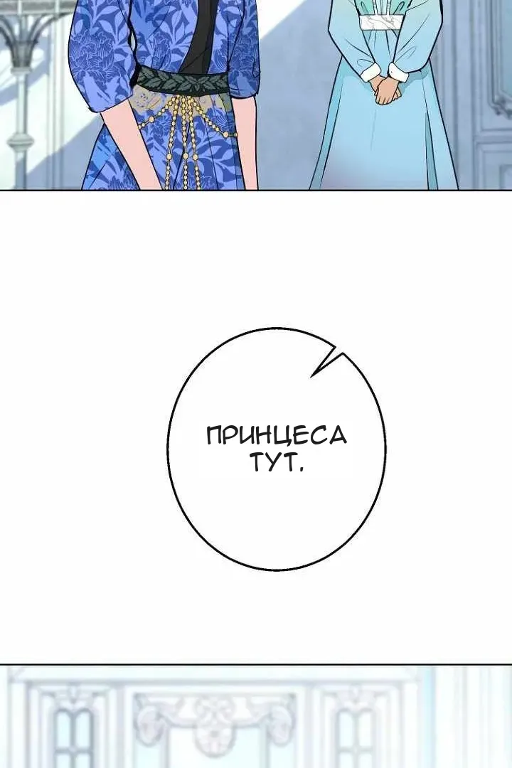 Сторінка 43