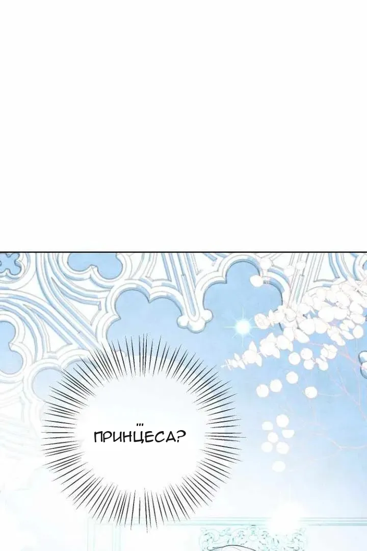 Сторінка 49