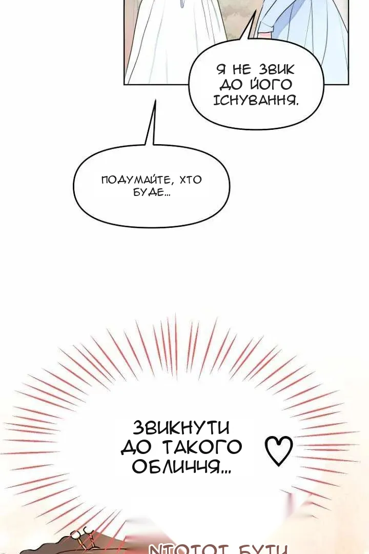 Сторінка 17