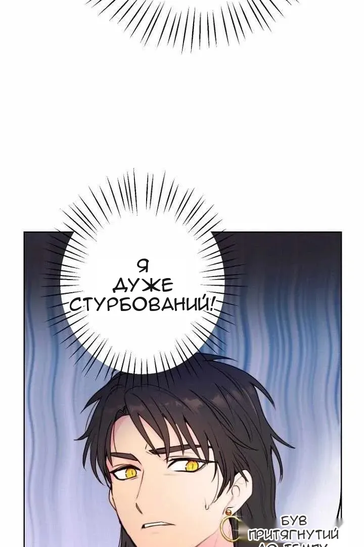 Сторінка 68