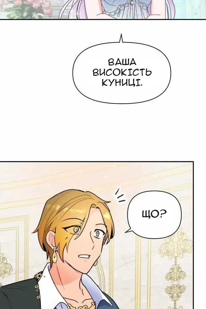 Сторінка 51