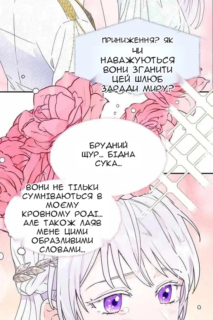 Сторінка 26