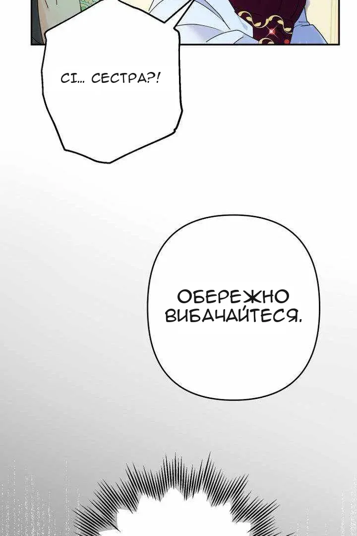 Сторінка 47