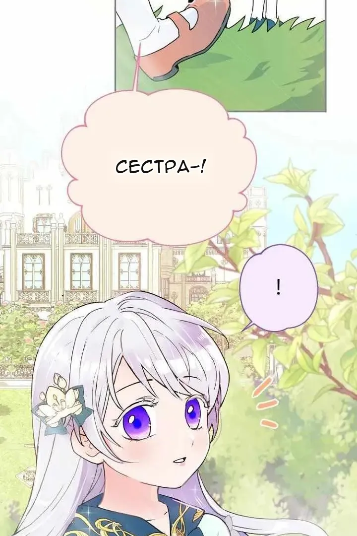 Сторінка 8